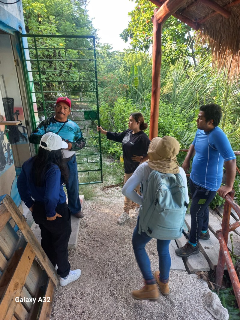 Manatí (5)