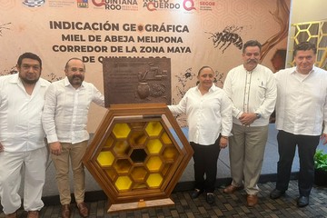 Contribuye la Unicaribe a proteger el patrimonio biocultural de la miel de abeja melipona