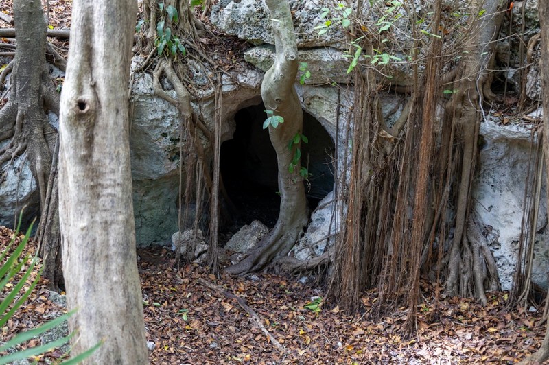 cueva2