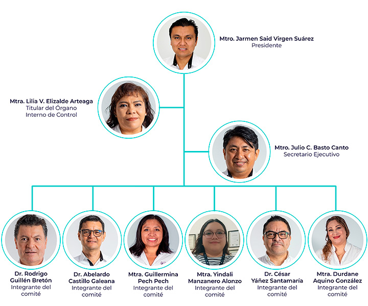 Integrantes del Comité